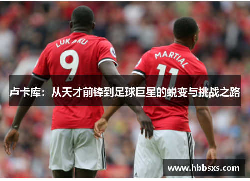 卢卡库：从天才前锋到足球巨星的蜕变与挑战之路
