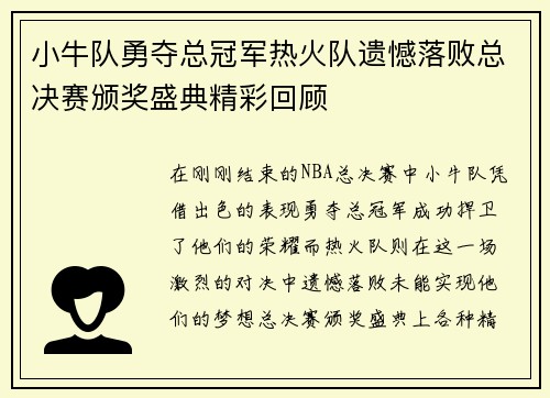 小牛队勇夺总冠军热火队遗憾落败总决赛颁奖盛典精彩回顾